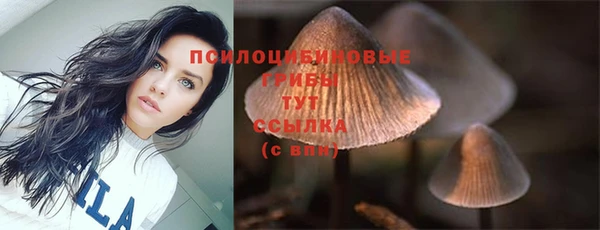 экстази Арсеньев