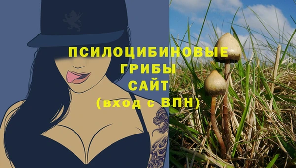 хмурый Армянск